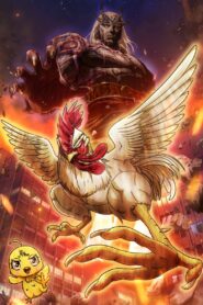 Rooster Fighter