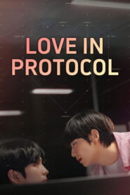 Love In Protocol