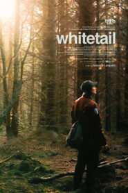 Whitetail